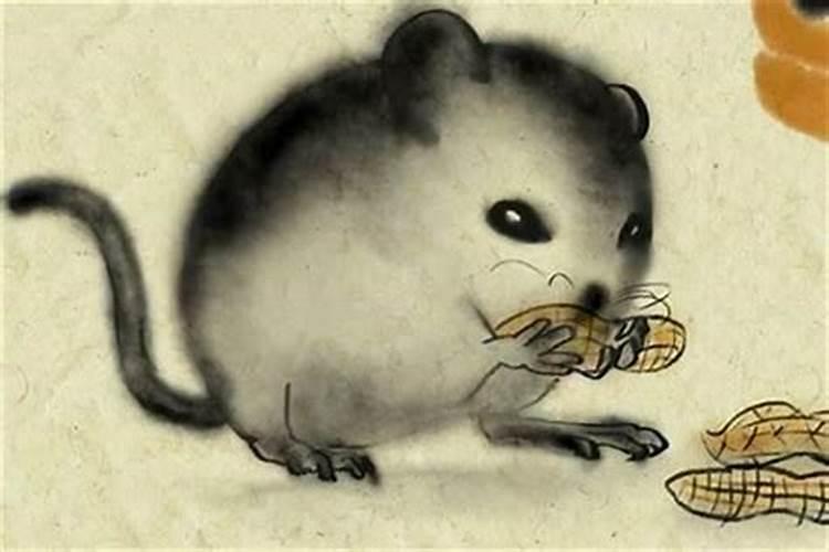 梦见女人主动和我接吻拥抱的预兆