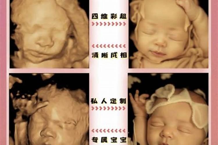 94年农历8月份的狗是什么命 属狗人哪个时辰出生最吉利