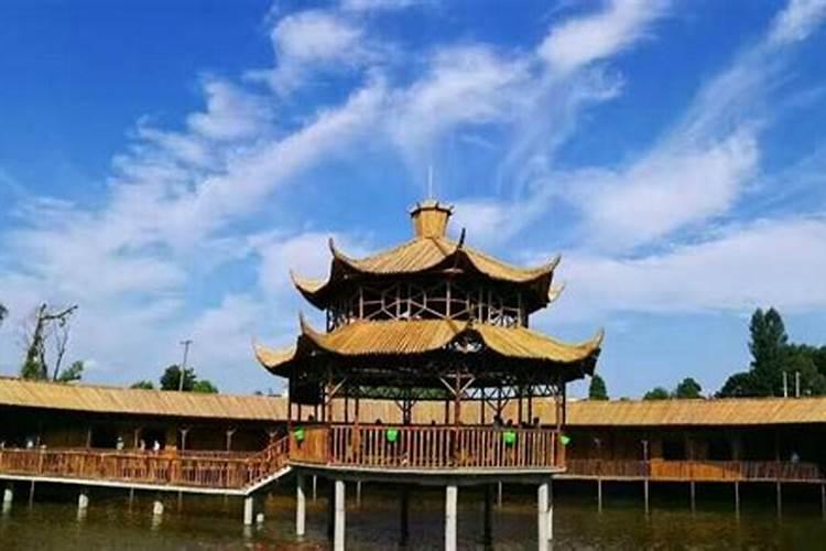 农村院子不要乱种树,6种辟邪又护宅的“风水植物”,你知道几个