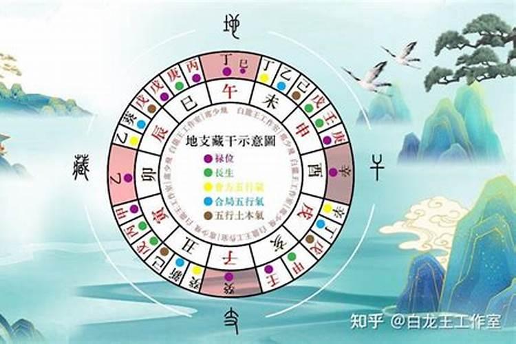属蛇人2025年每月运势及全年运程