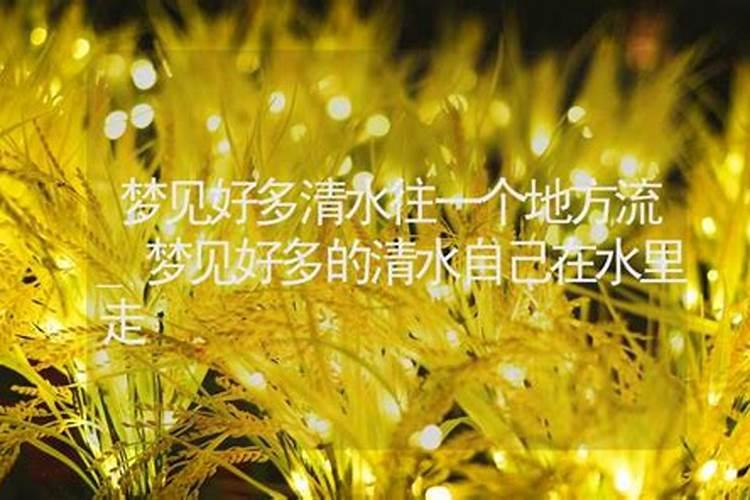 2025属蛇的全年运势运程 属蛇人2025年每月运势