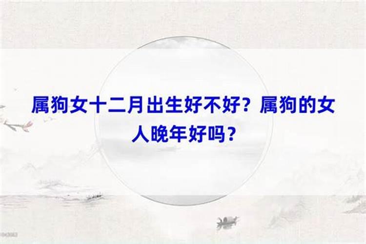 属狗农历十一月出生好吗,属狗2019年桃花运最好月份有哪些？