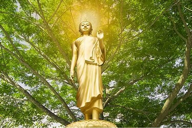 佛教中有童子下凡界,童子命这类说法吗