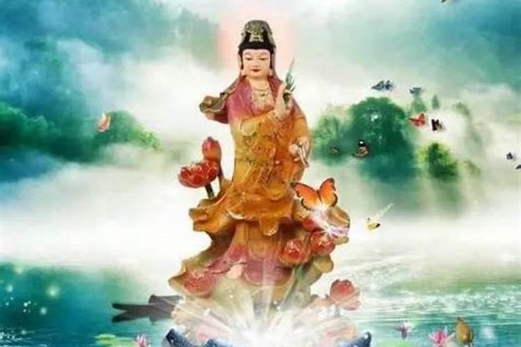 童子问佛:童子说佛你是我佛,我是你的什么？