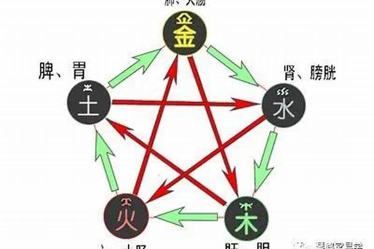 元宵节的生肖是什么