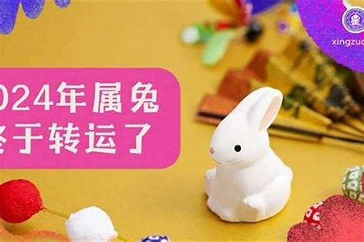 今年是兔年,运势如何？