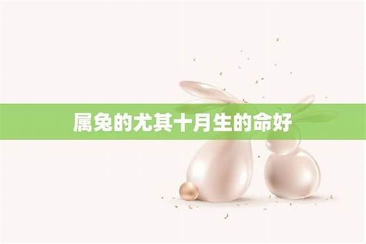 10月属兔的人命好吗 10月出生属兔人命运怎么样