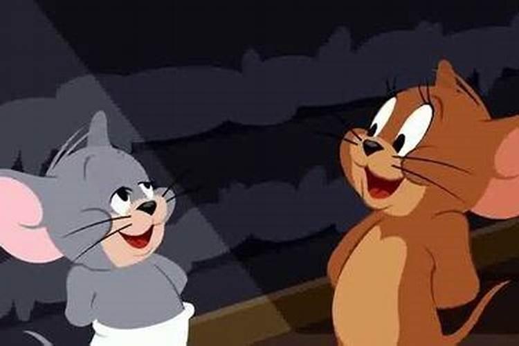 梦见猫和老鼠同时出现代表什么？