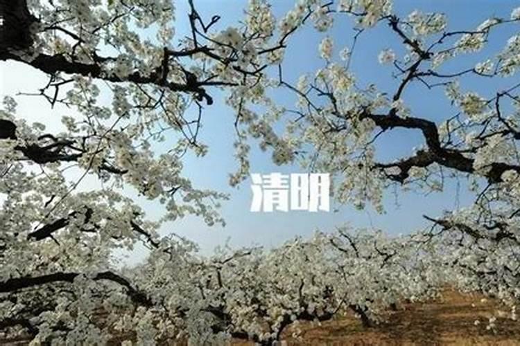 2025躲太岁最简单三个方法