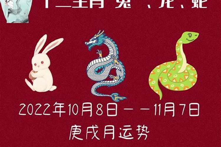 97年属牛人2024年每月运程解析