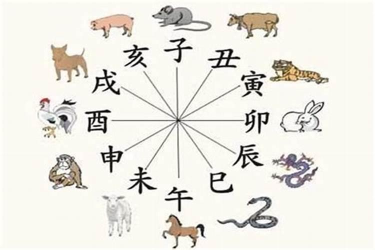 房子后面种花草风水好吗