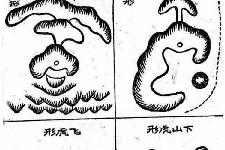 每年都是4月4日清明节吗