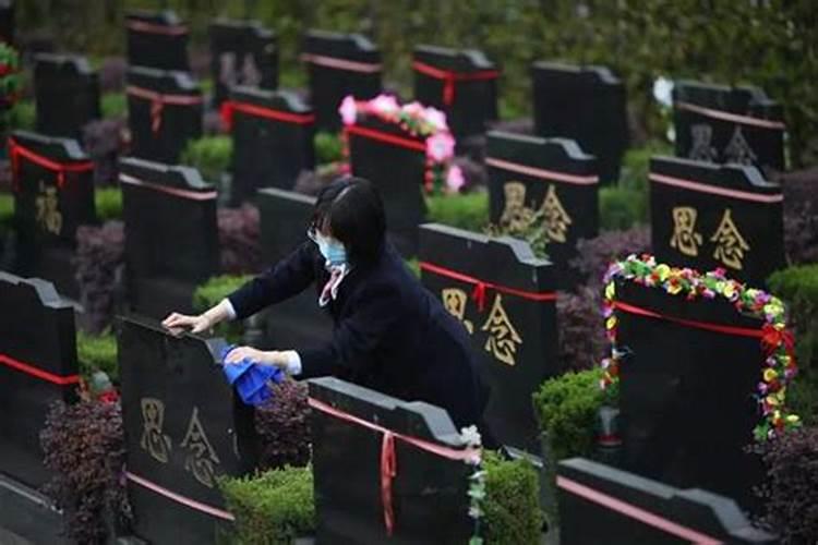 属狗人2025年每月运势及运程详解