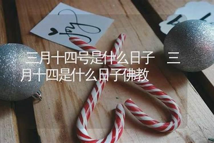 66年属马女和67年属羊男婚配如何,66年属马男和67年属羊女己婚20