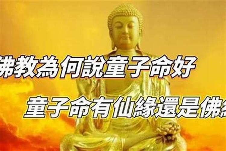 花姐命查询