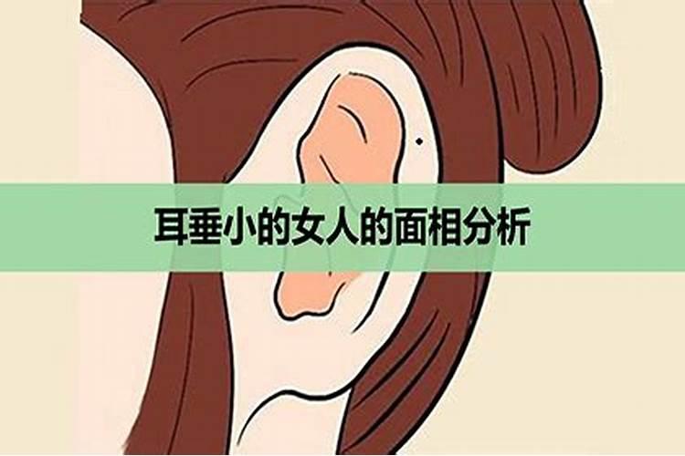 命宫在己卯是什么命格