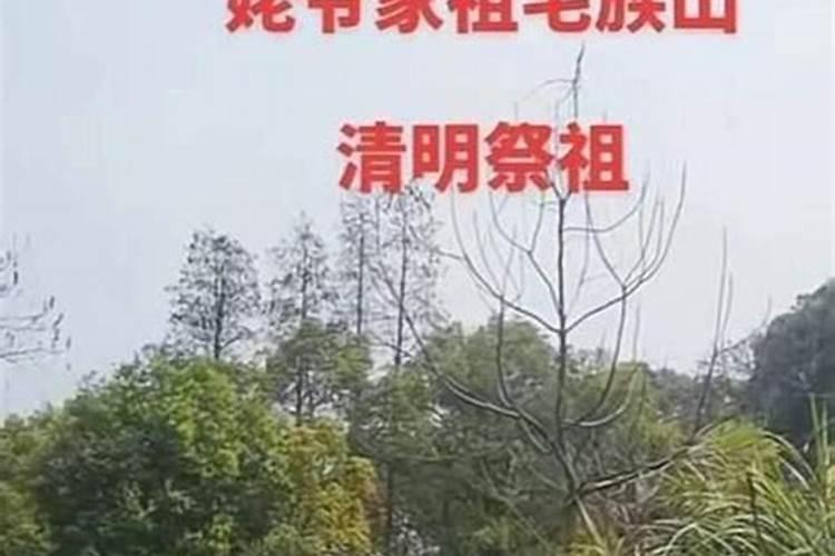 70年属狗女有几次婚姻？一生有几次坎坷