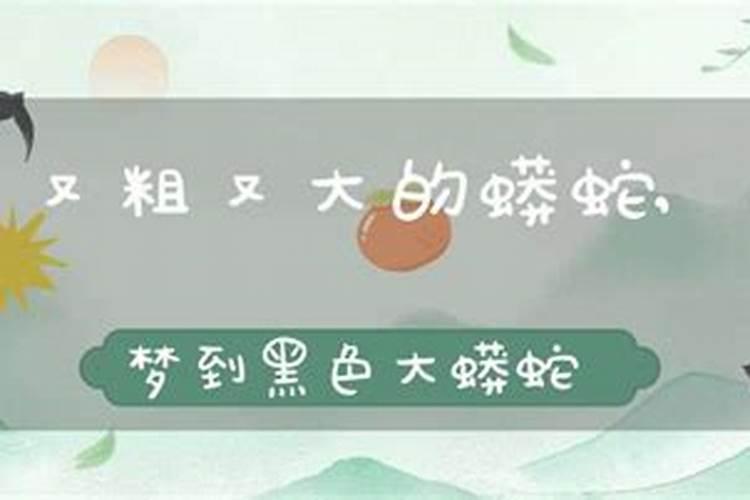 梦见黑色大蟒蛇是什么征兆