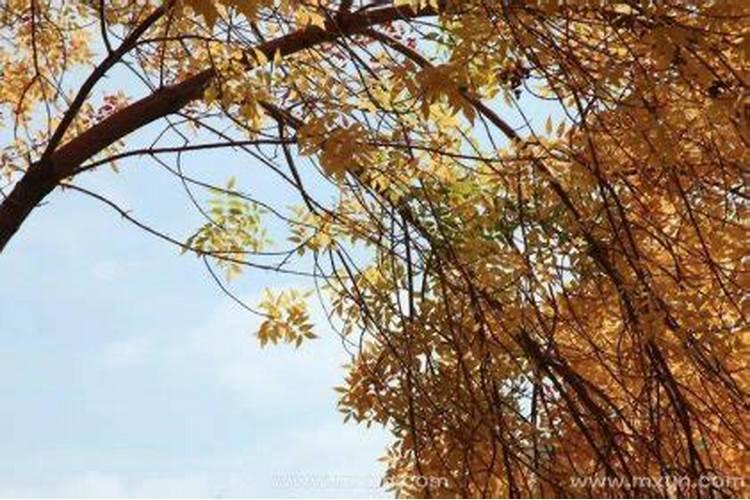 清明到底是什么节日