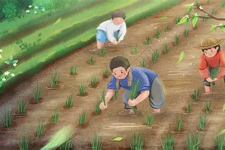 清明节最忌讳的是什么