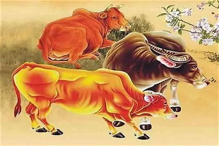 请问85年农历10月26号今年运程.有谁能帮我算吗？