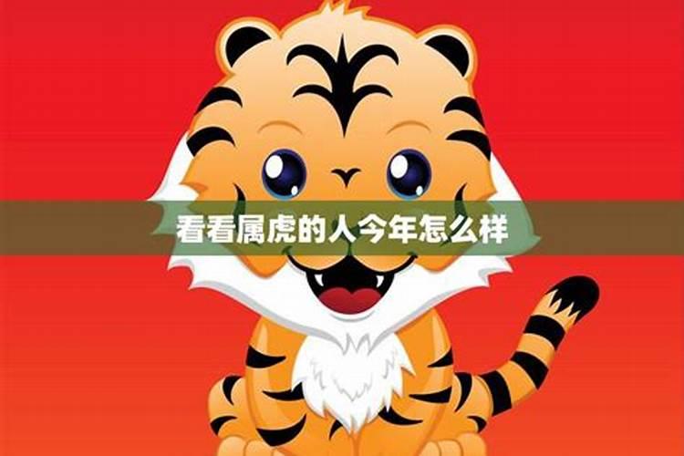 属虎男人36岁本命年讲究 属虎男人36岁本命年有什么讲究