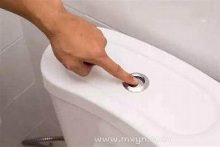 属兔的跟什么属相犯冲