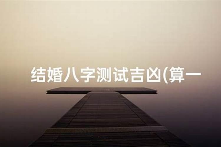 董易奇十二生肖2025运程