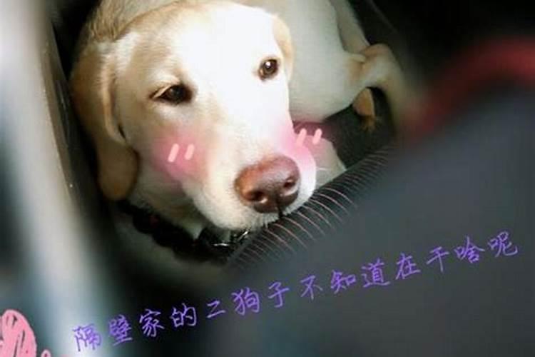 童子最怕的六种东西