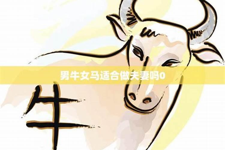 74年虎女2024年每月运势及运程如何
