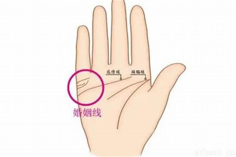 8字准还是手相呀？