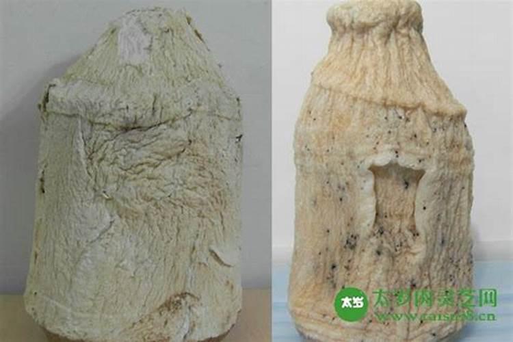 属蛇财运什么时候最旺