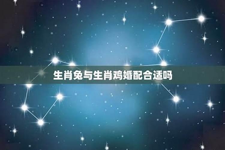 鸡和兔的这两个属相婚配有什么说法吗
