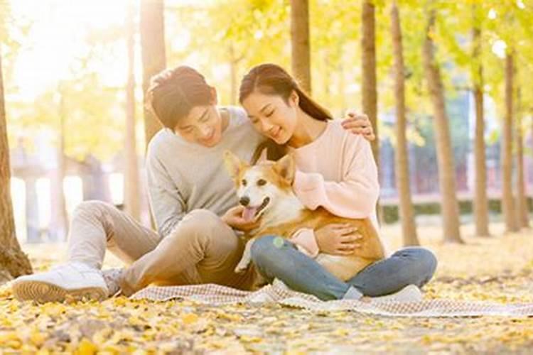 2025年立春是哪一天？