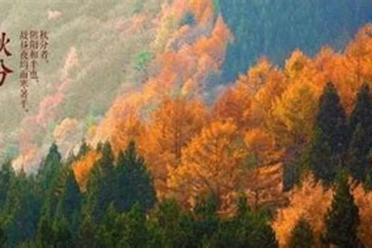 大师教你用风水化解婚姻不顺