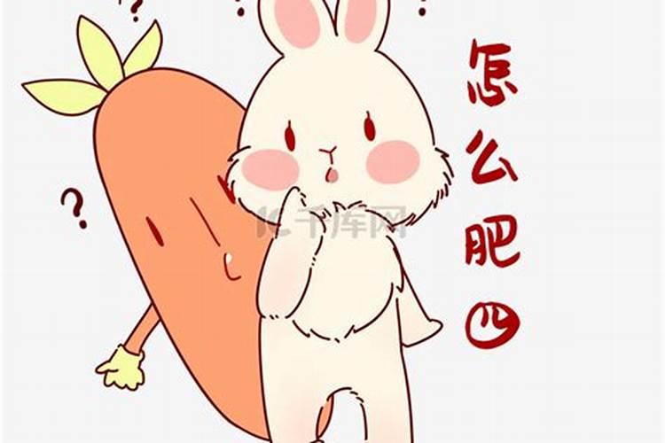 江苏无锡冬至吃什么