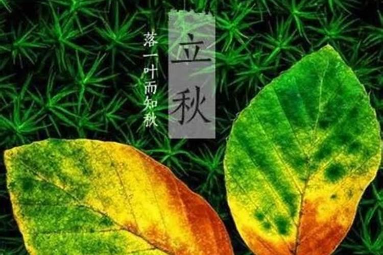 属猴2025年6月11日牌运