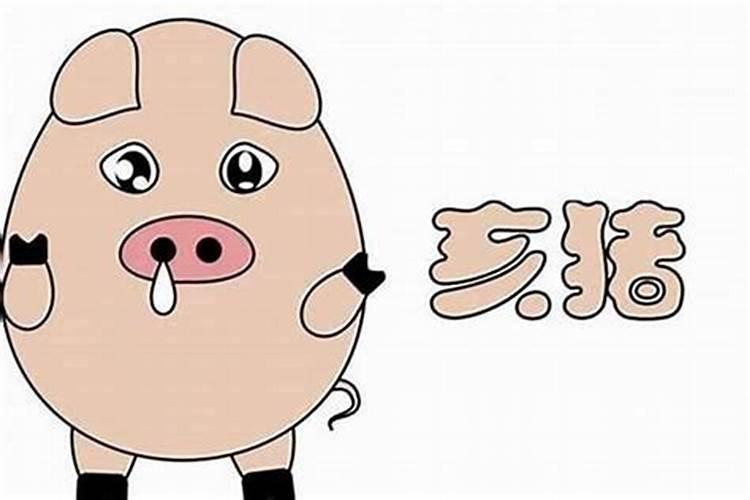 属猪人的婚姻与命运 属猪人一生运势运程