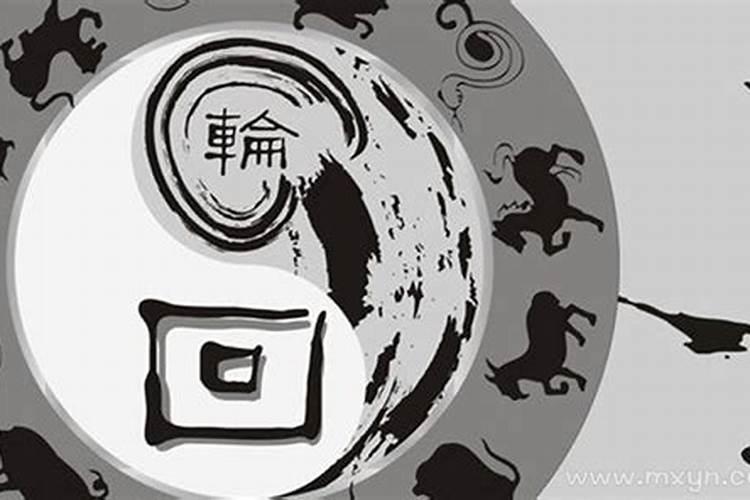 梦见经文