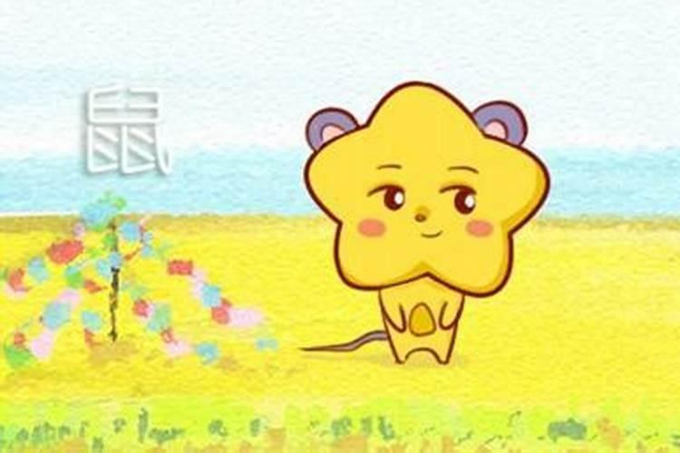 菖蒲种子多少钱一斤 苗多少钱一颗
