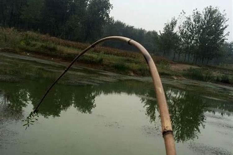 男孩姻缘迟迟不来如何化解 调整个人能量场？