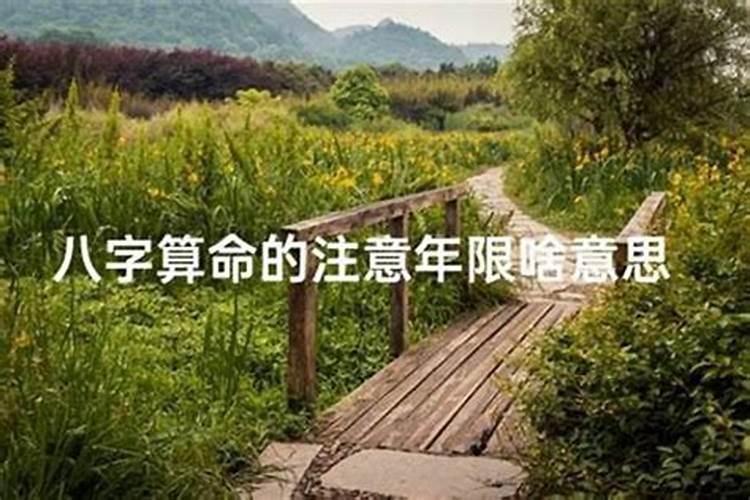 算命上的应该注意年限什么意思