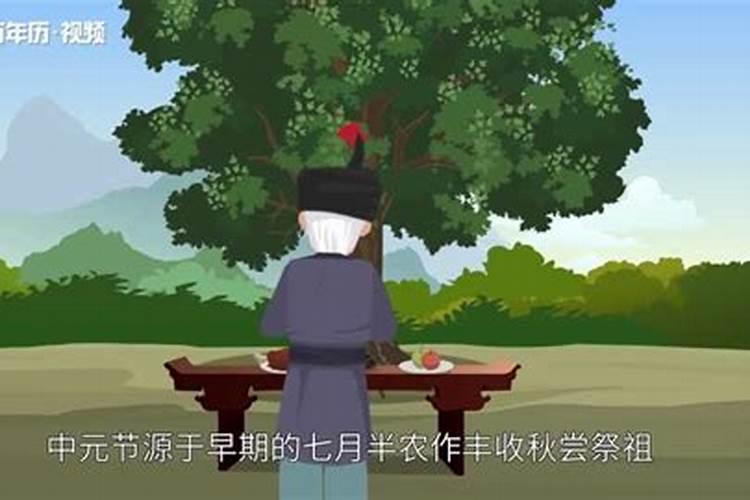 十五供什么