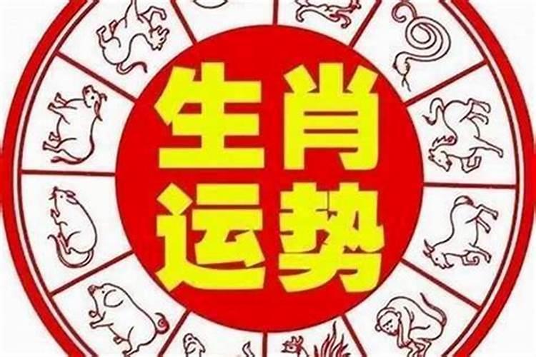 小人肖有哪几个生肖