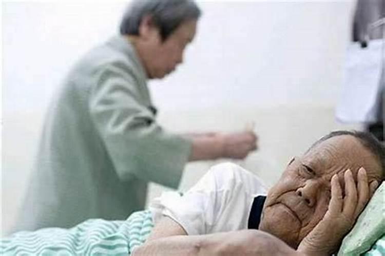 属猪的在85年的时候是多少岁？