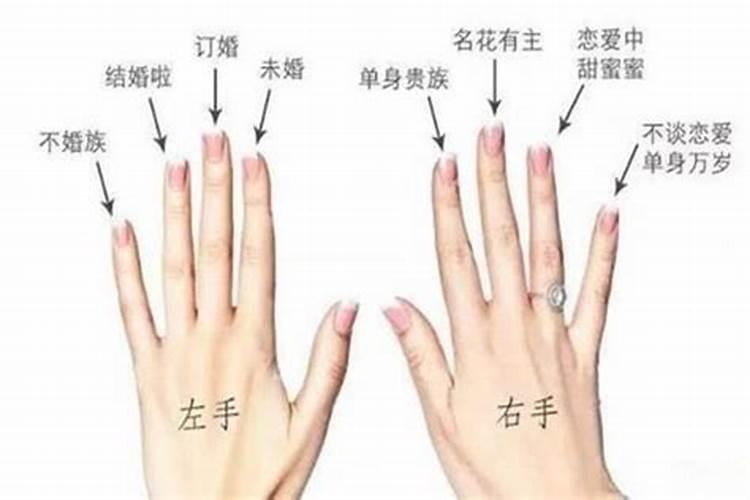 生肖马2025年运势 属马2025年运势及运程