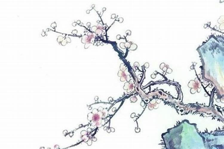 属猴人出生年份和时间 属猴的多大年龄2024年