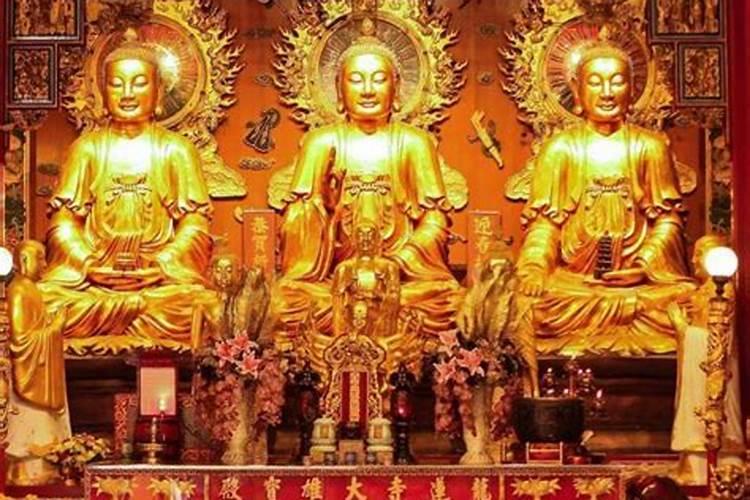 李居明分析鼠2022年运程 2022年运势12生肖运势
