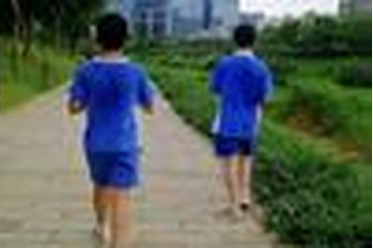 风水为什么说养狗好