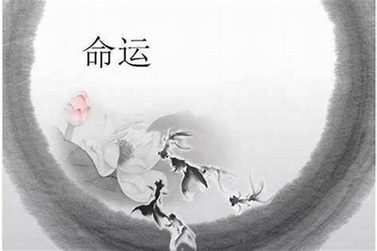 一个人有财运的征兆 增加财运的好方法分析